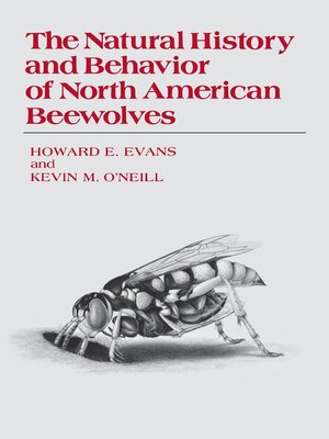 cover image of The Natural History and Behavior of North American Beewolves